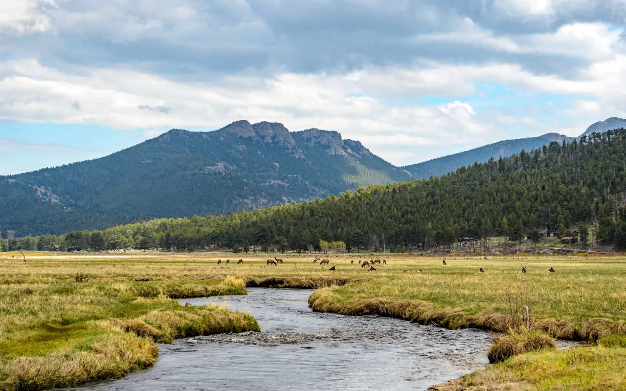 A creek winding through a mountain meadow in the foothills west of Denver
